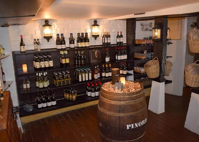 Dagmar Отель Рибе