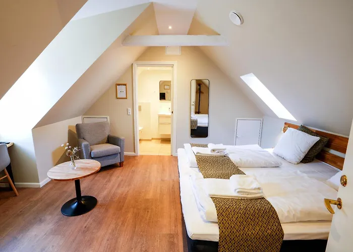 Отель Dagmar 3*